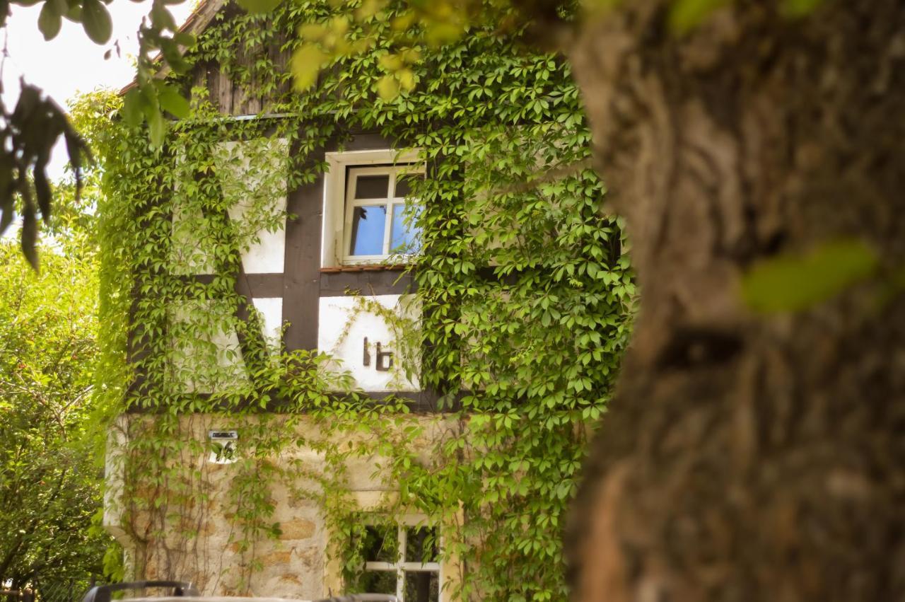 Naturferienwohnung Schopstal Kunnersdorf 外观 照片