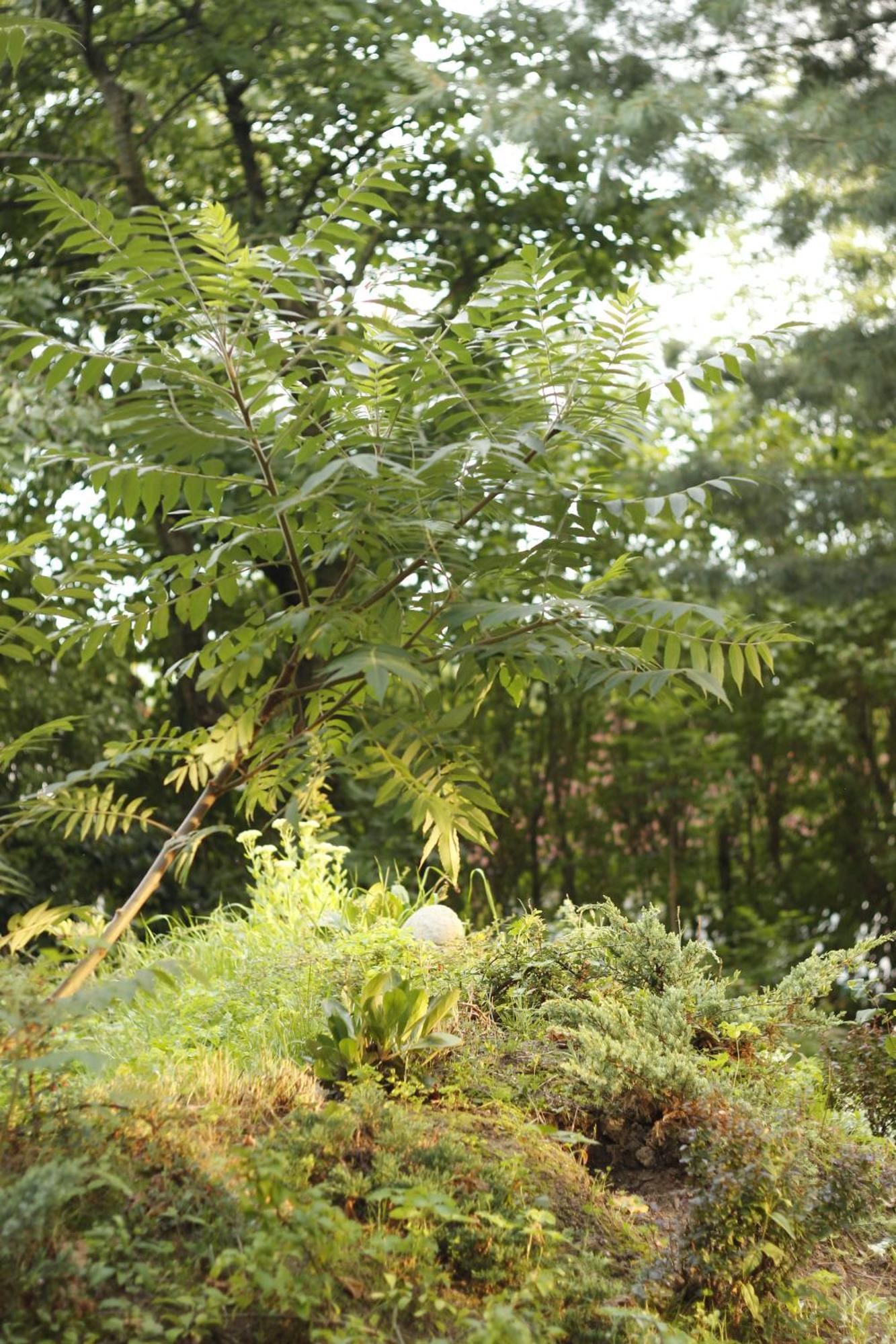 Naturferienwohnung Schopstal Kunnersdorf 外观 照片
